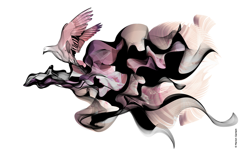 bird